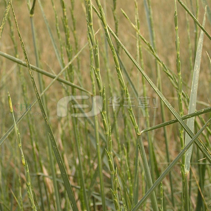 KS凯时·(中国区)官方网站