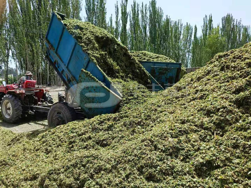 青贮饲料利用宽泛，，，，，，你知路若何鉴定其品质曲直么？？？？？？