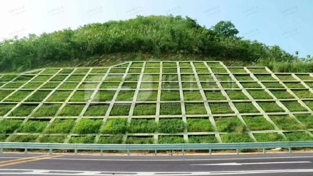 边坡绿化