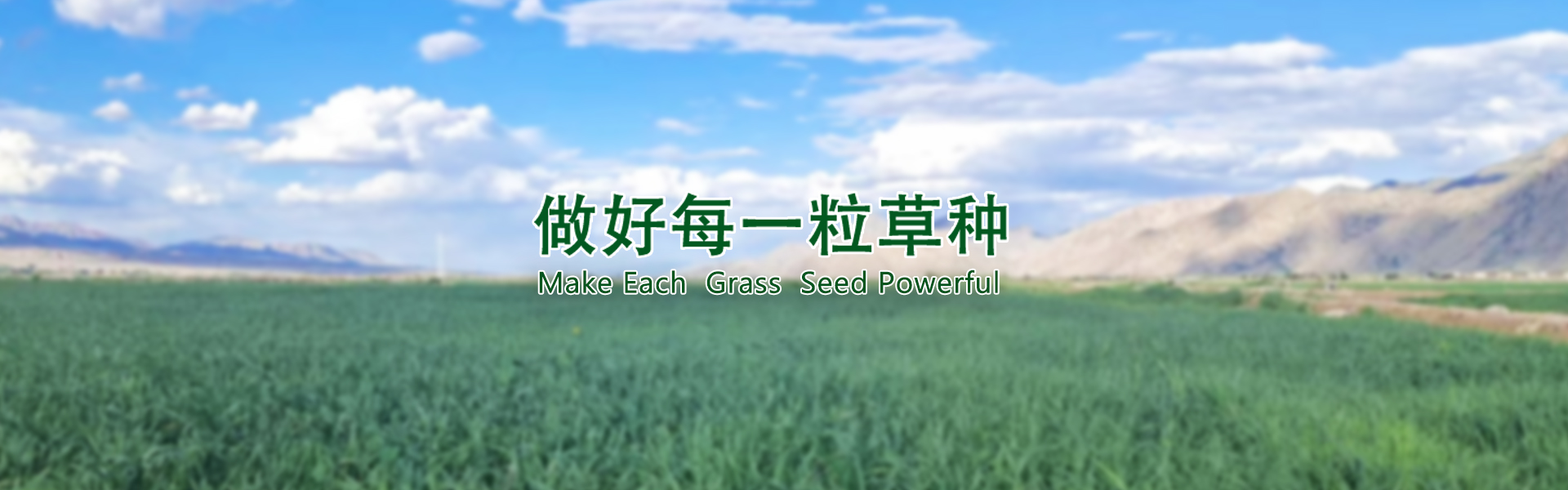 KS凯时·(中国区)官方网站