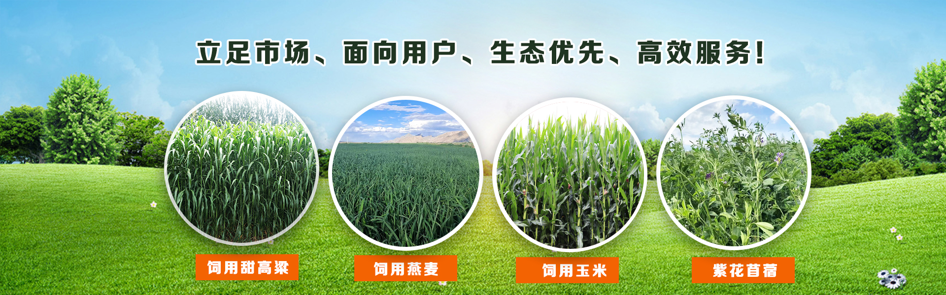 KS凯时·(中国区)官方网站