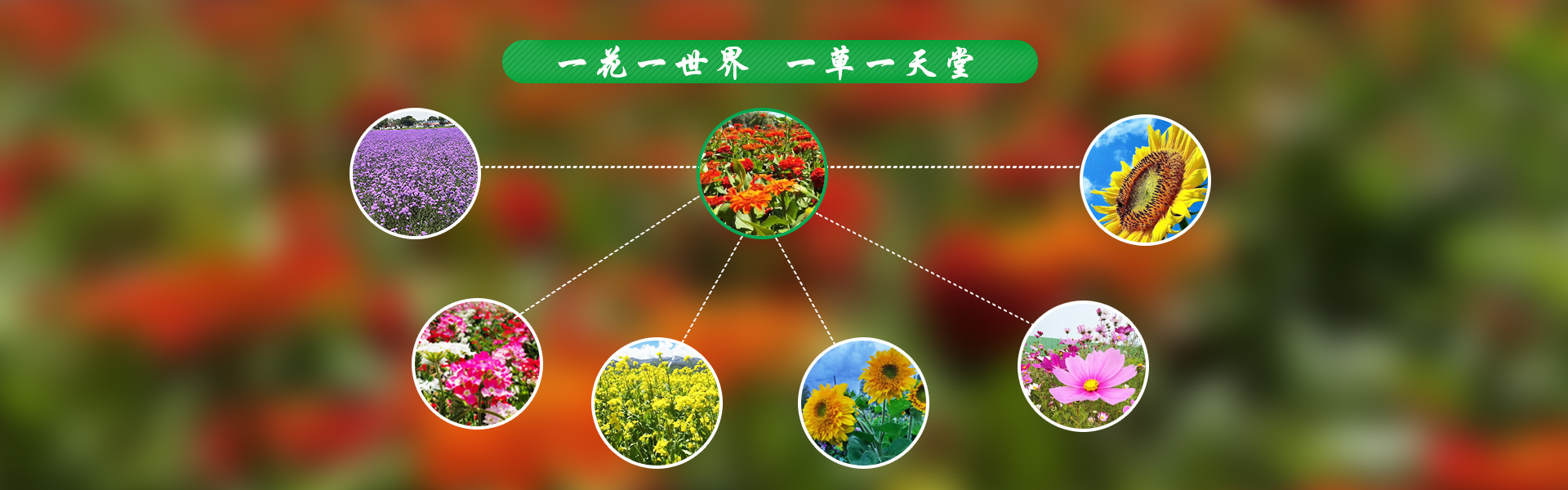 KS凯时·(中国区)官方网站