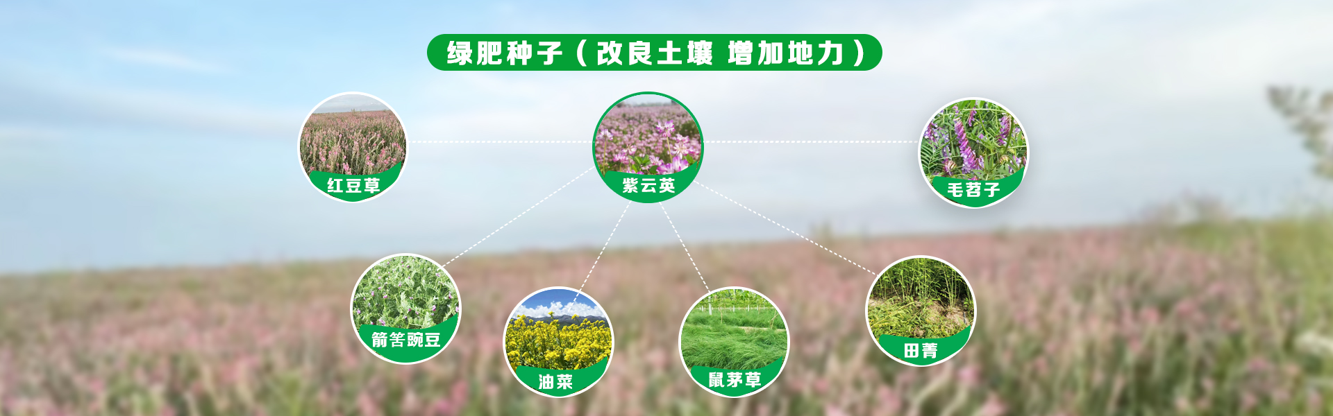 KS凯时·(中国区)官方网站