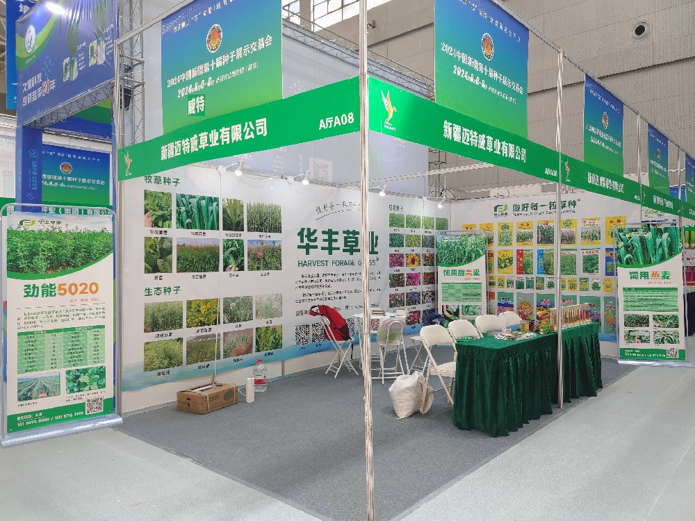 ks凯时官网参与新疆第十届种子展示买卖会