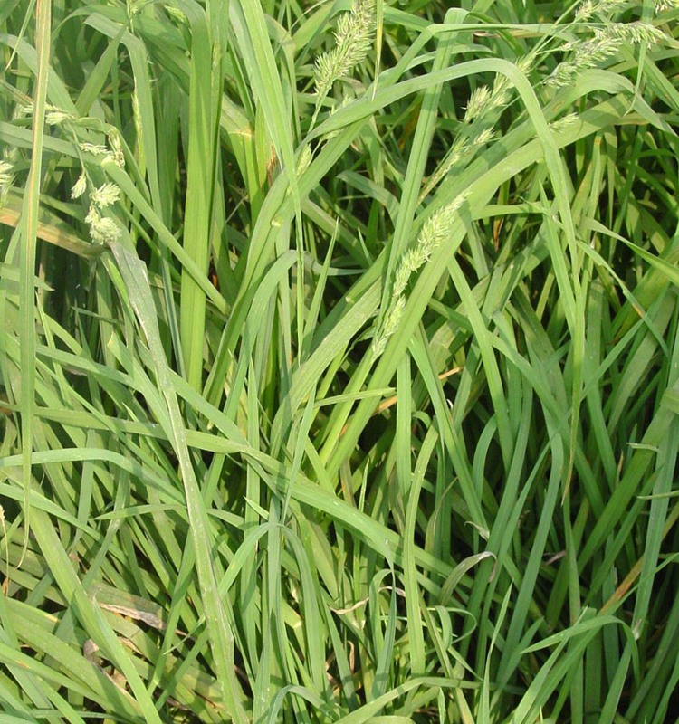 KS凯时·(中国区)官方网站